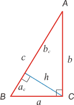 Какие стороны треугольников пропорциональны