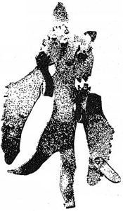 Агды, ритуальное изображение на бубнах (одежде)